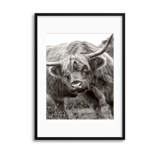 The Bull by Jacky Parker Framed Print - USTAD HOME