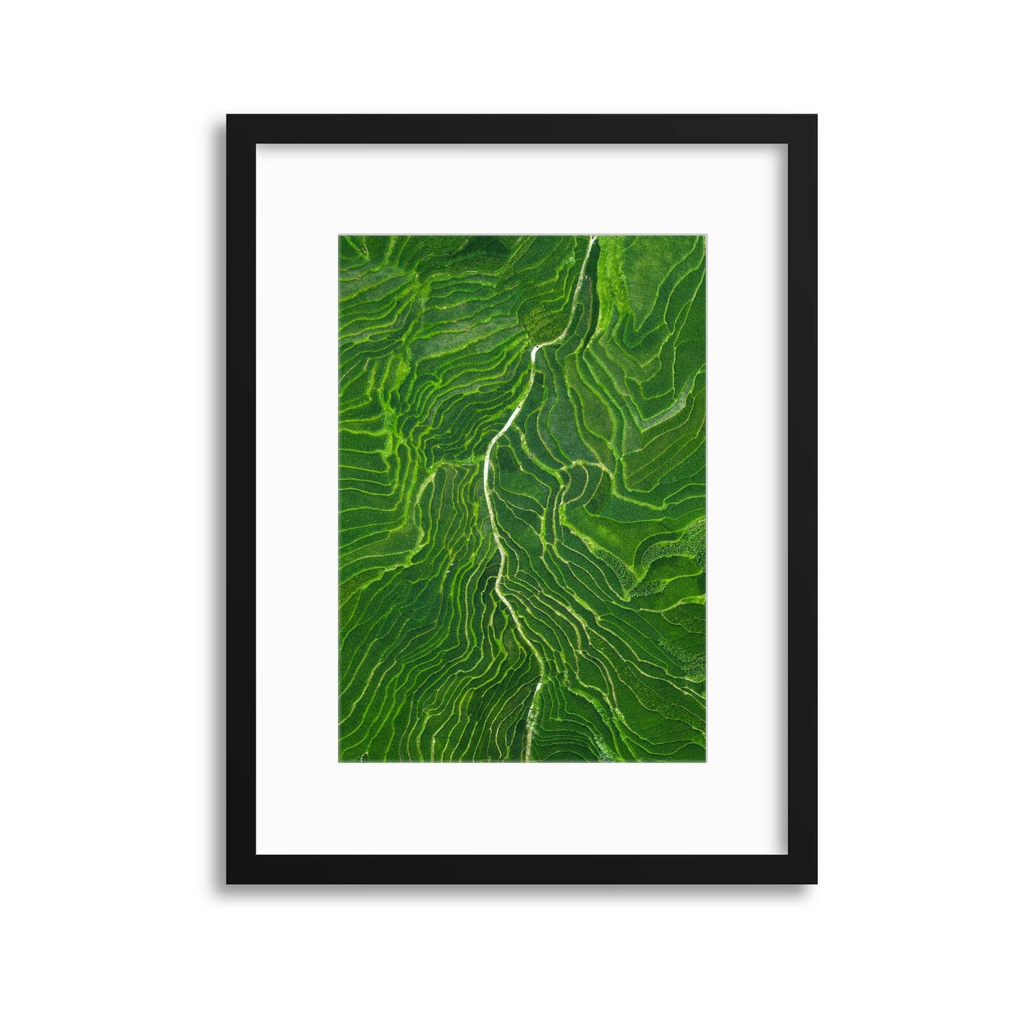 Vein by Tianqi Framed Print - USTAD HOME