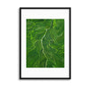 Vein by Tianqi Framed Print - USTAD HOME