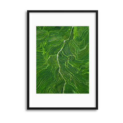 Vein by Tianqi Framed Print - USTAD HOME