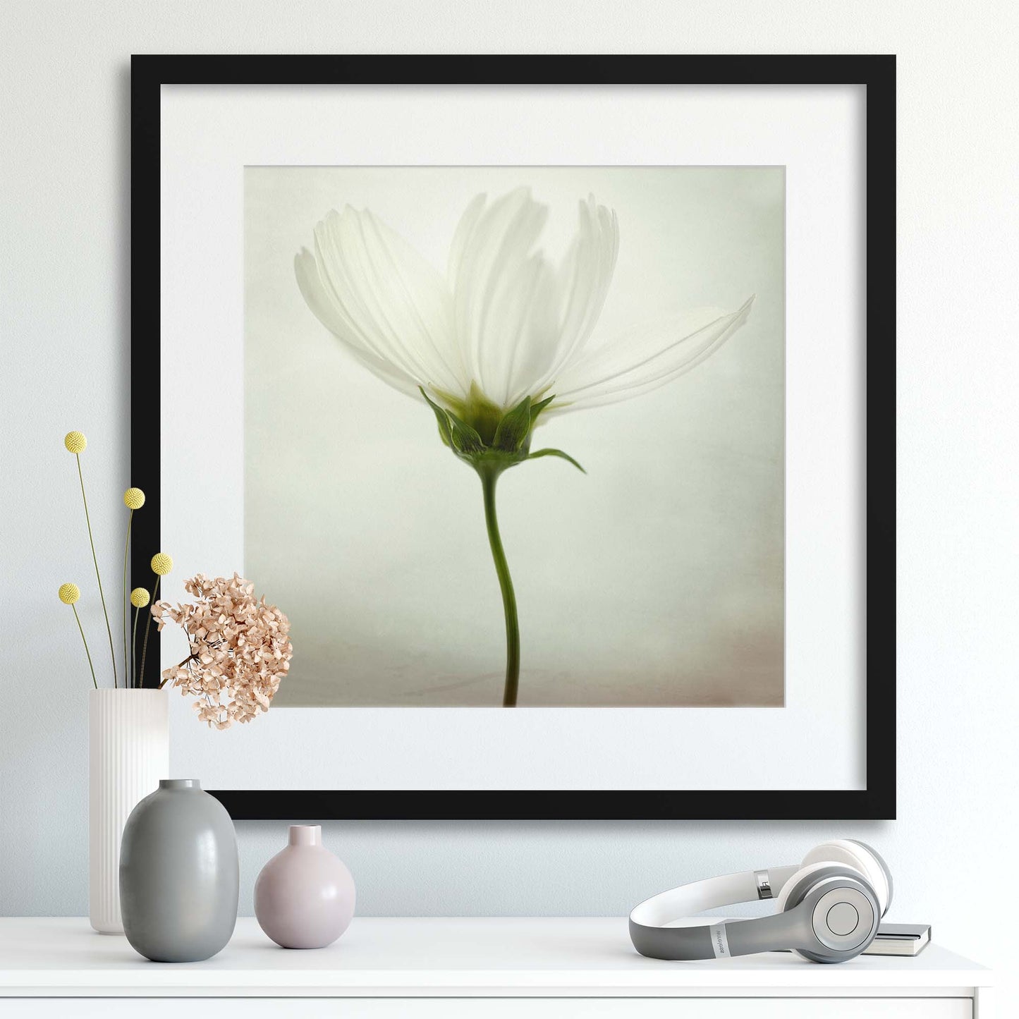 White cosmos by Lotte Gr&oslash;nkj&aelig;r Framed Print - USTAD HOME