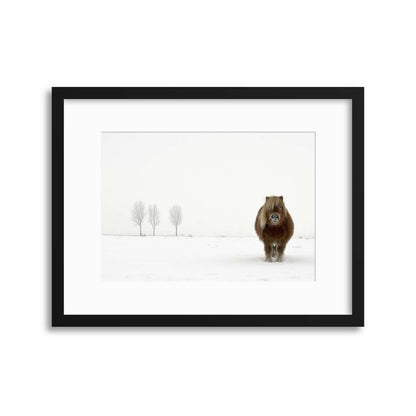 The Cold Pony by Gert van den Framed Print - USTAD HOME