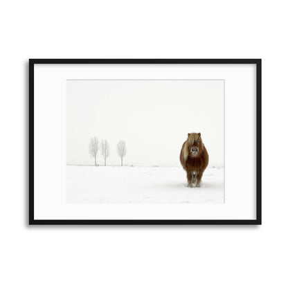The Cold Pony by Gert van den Framed Print - USTAD HOME
