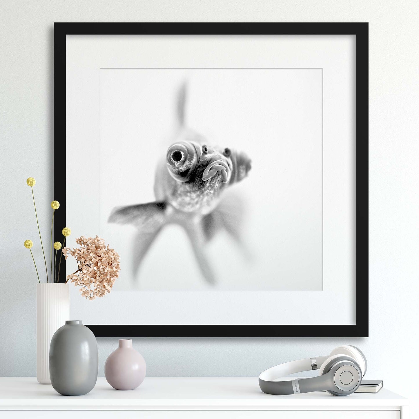 I'm ready for my close up... by Paul Framed Print - USTAD HOME