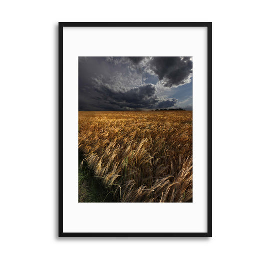 Strohgaeu by Nicolas Schumacher Framed Print - USTAD HOME