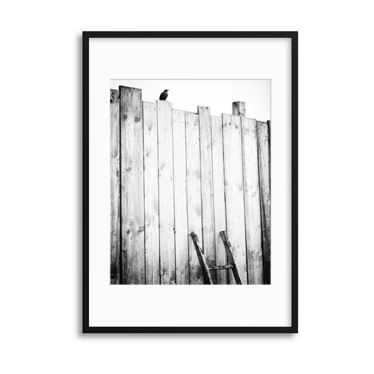 Freed by J&uuml;rgen Hartlieb Framed Print - USTAD HOME