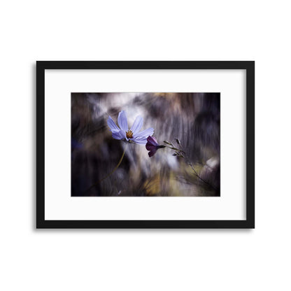 Le Rendez Vous by Fabien Bravin Framed Print - USTAD HOME