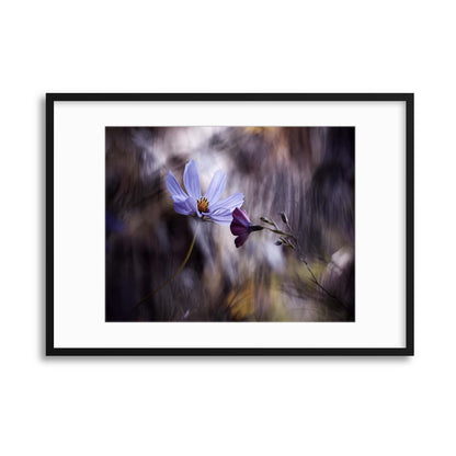 Le Rendez Vous by Fabien Bravin Framed Print - USTAD HOME