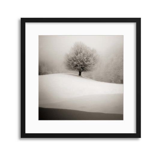 Winter Degradee by S.C. Framed Print - USTAD HOME