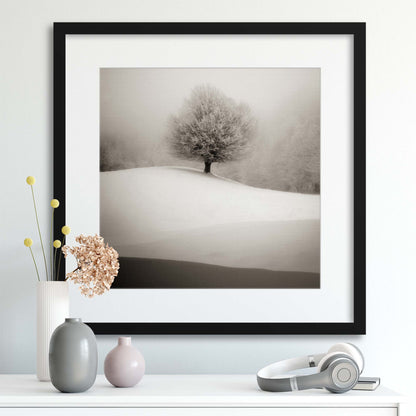 Winter Degradee by S.C. Framed Print - USTAD HOME