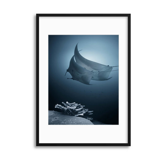 Sonata by Andrey Narchuk Framed Print - USTAD HOME