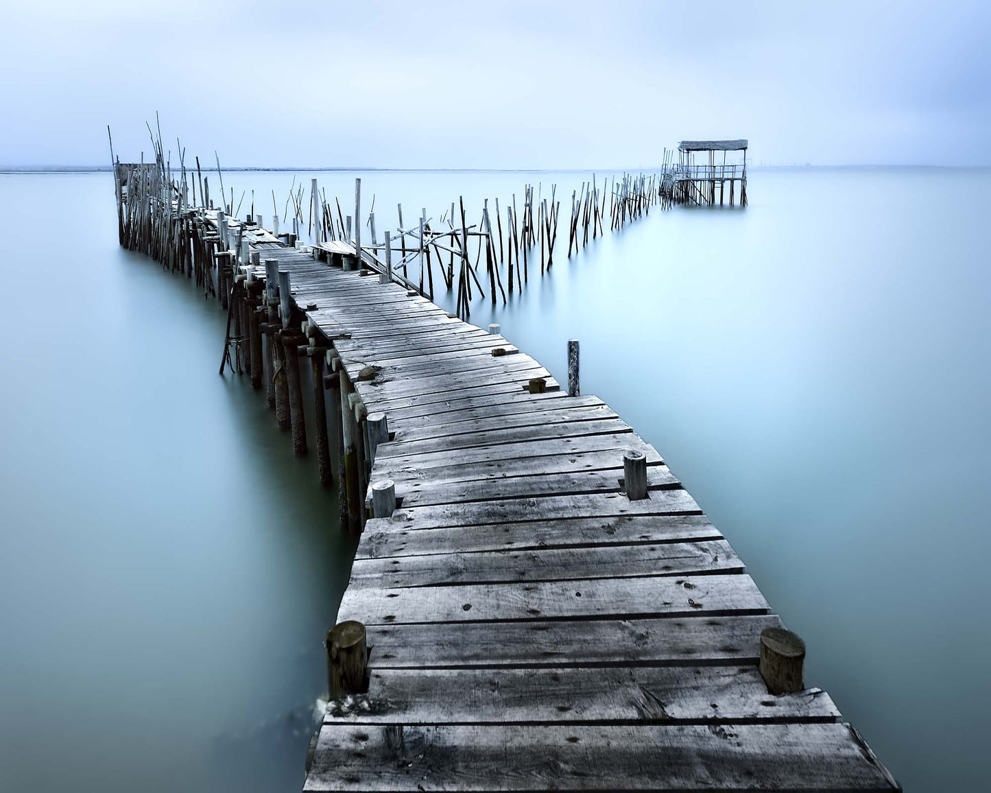 Carrasqueira II by Jes&uacute;s M. Garc&iacute;a Framed Print - USTAD HOME