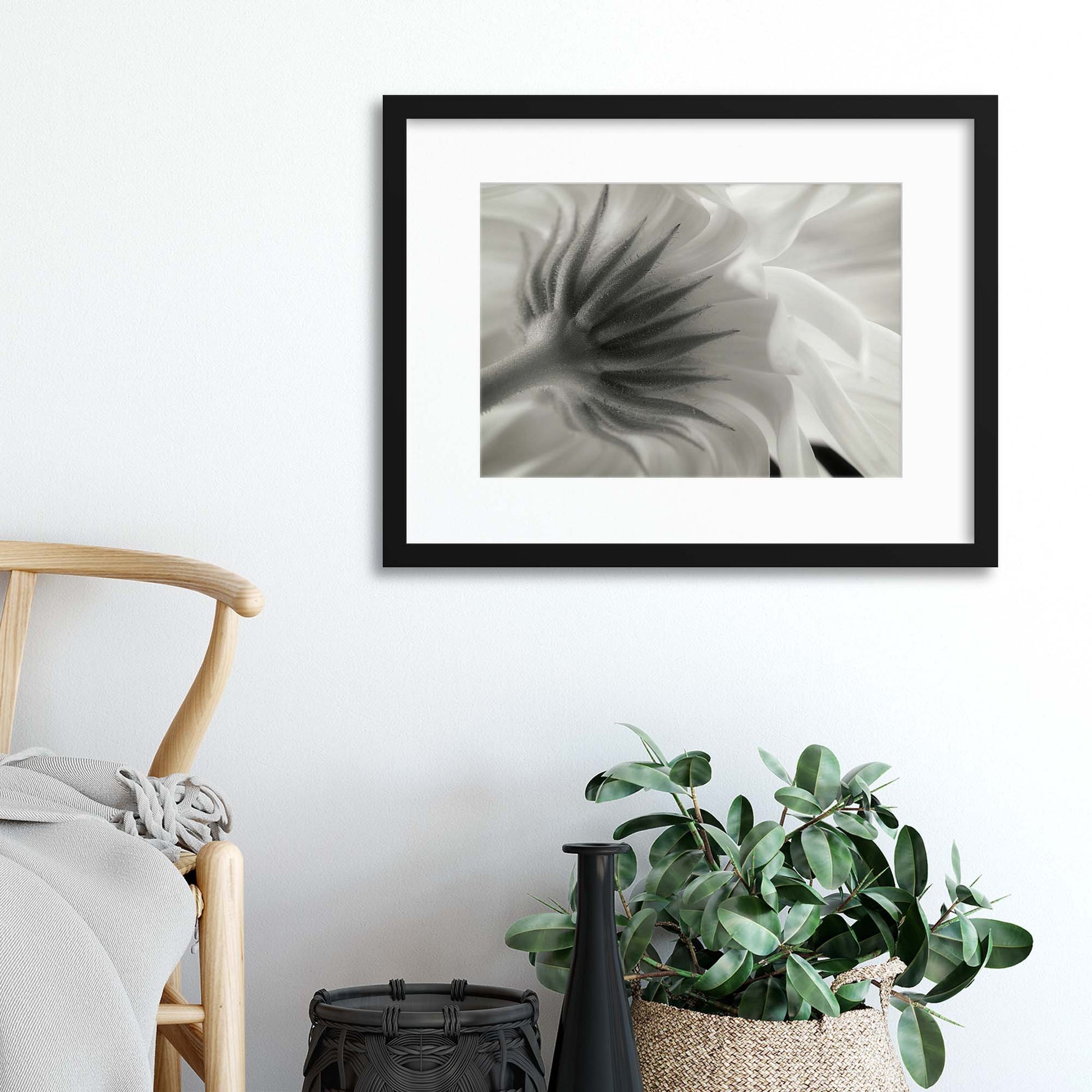Calendula by Lotte Gr&oslash;nkj&aelig;r Framed Print - USTAD HOME