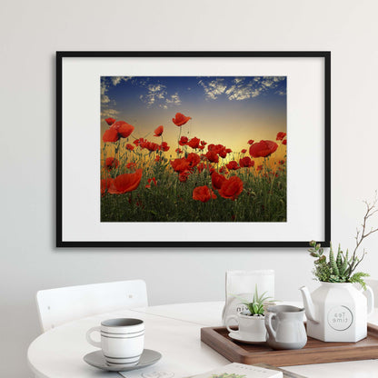 Poppies by Albena Markova Framed Print - USTAD HOME