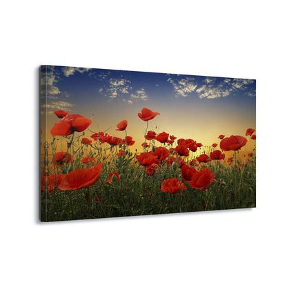 Poppies by Albena Markova Canvas Print - USTAD HOME