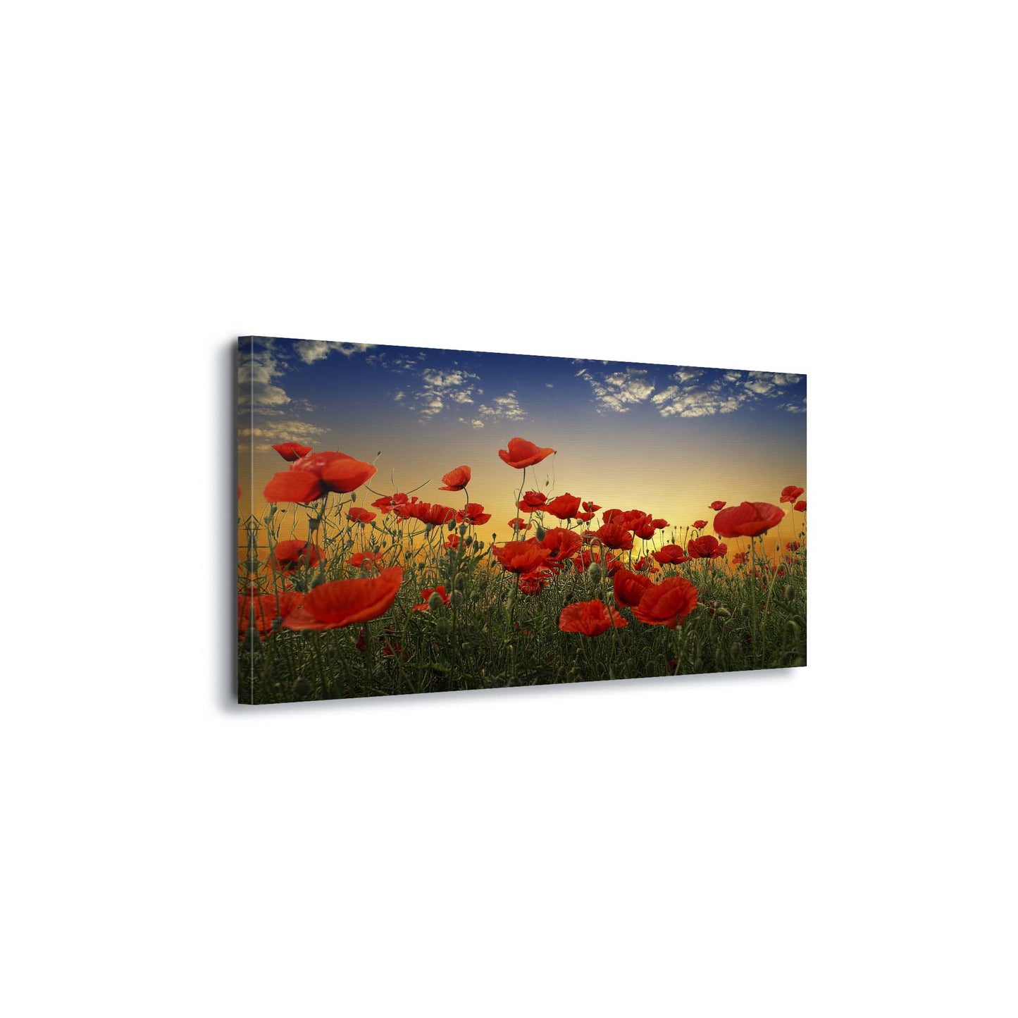 Poppies by Albena Markova Canvas Print - USTAD HOME