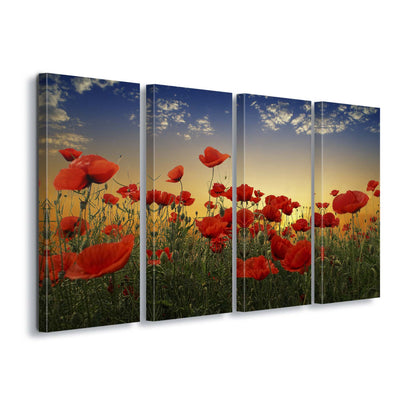 Poppies by Albena Markova Canvas Print - USTAD HOME