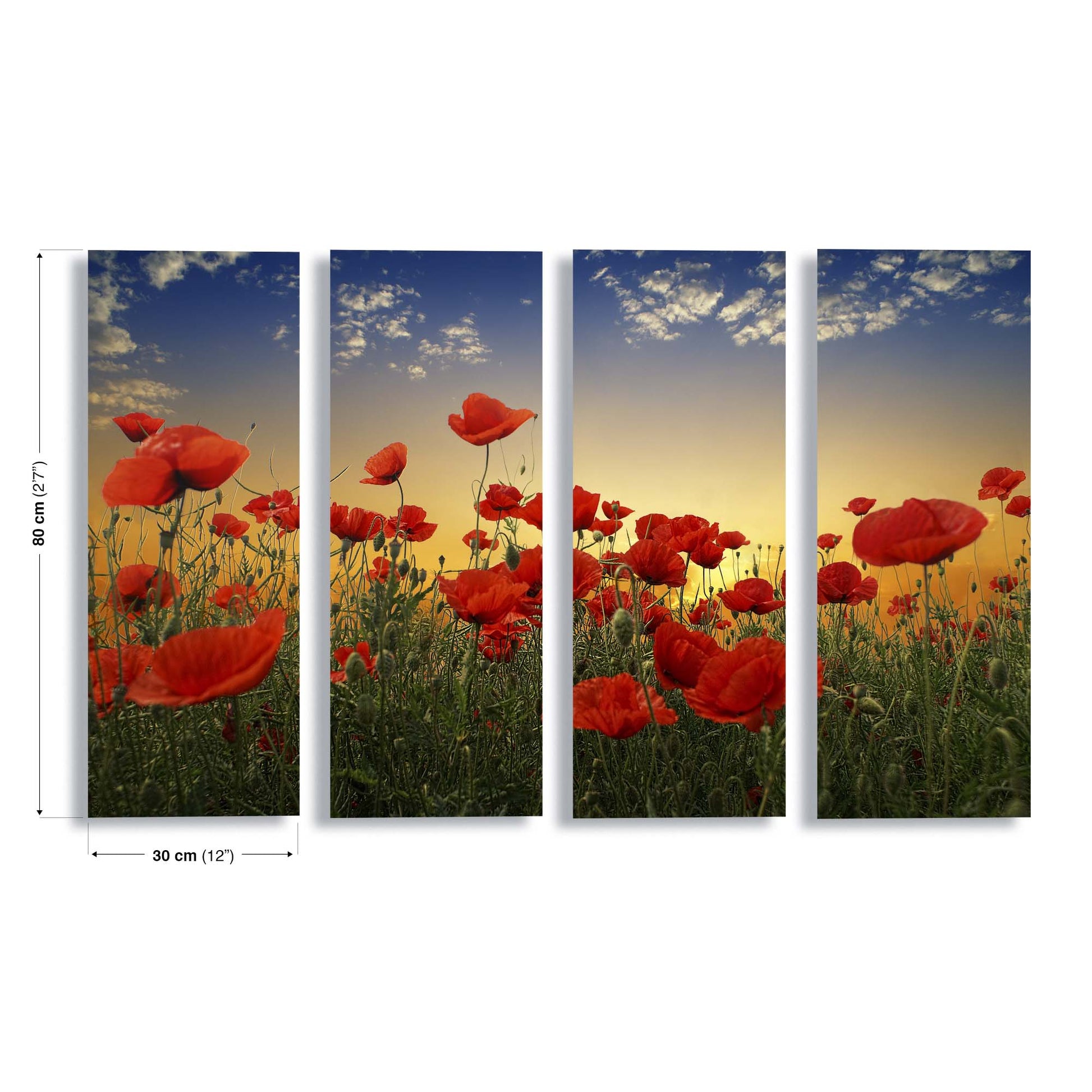 Poppies by Albena Markova Canvas Print - USTAD HOME