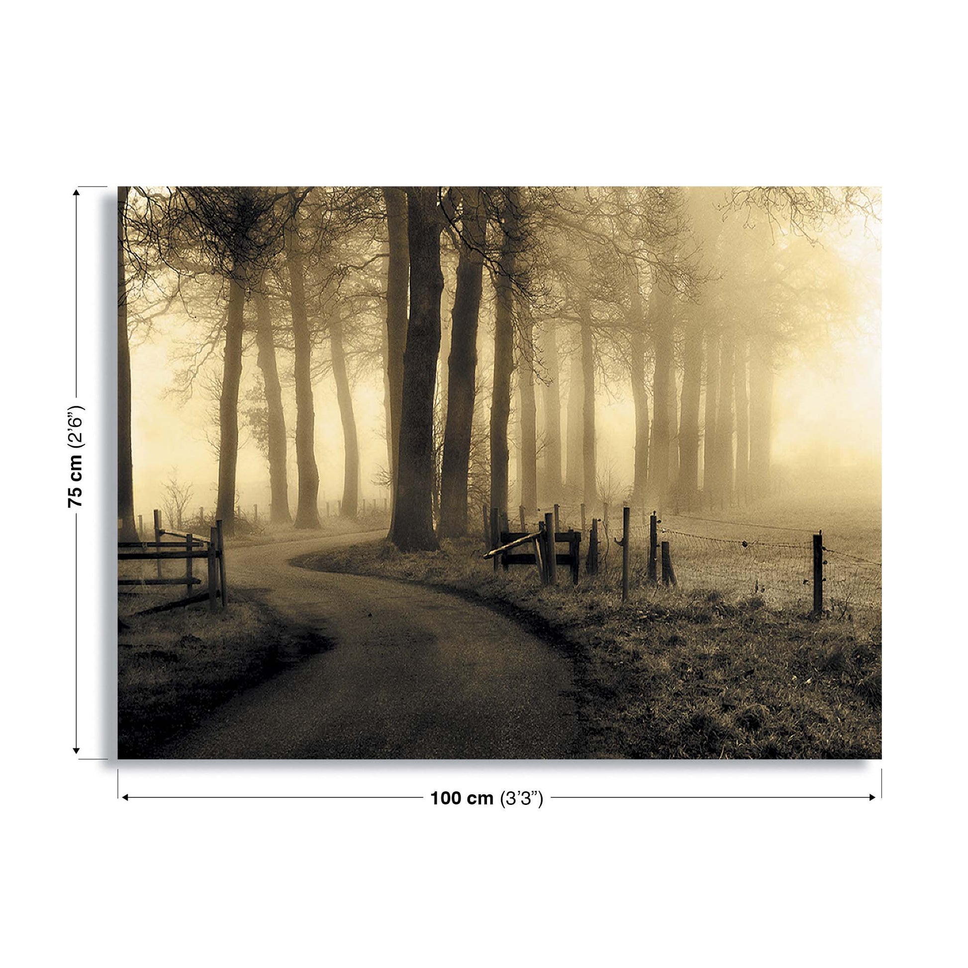Road to Nowhere... by Petra Oldeman Canvas Print - USTAD HOME