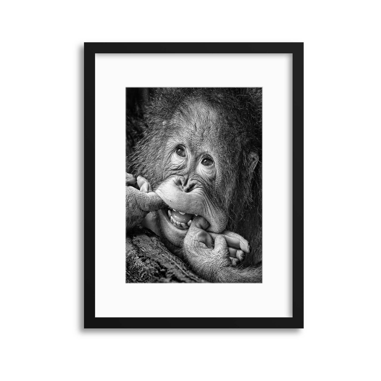 Big Smile.....Please by Angela Muliani Hartojo Framed Print - USTAD HOME