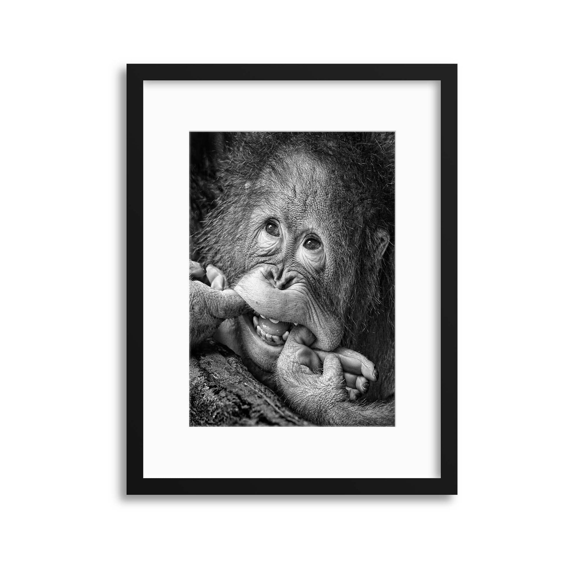 Big Smile.....Please by Angela Muliani Hartojo Framed Print - USTAD HOME