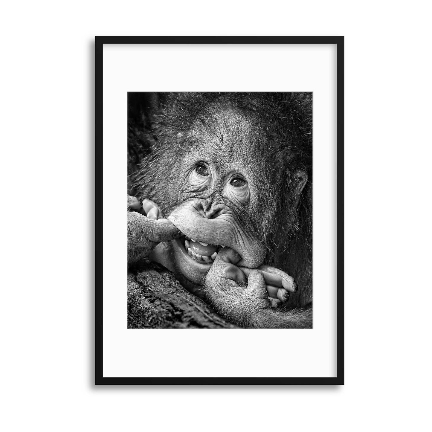 Big Smile.....Please by Angela Muliani Hartojo Framed Print - USTAD HOME