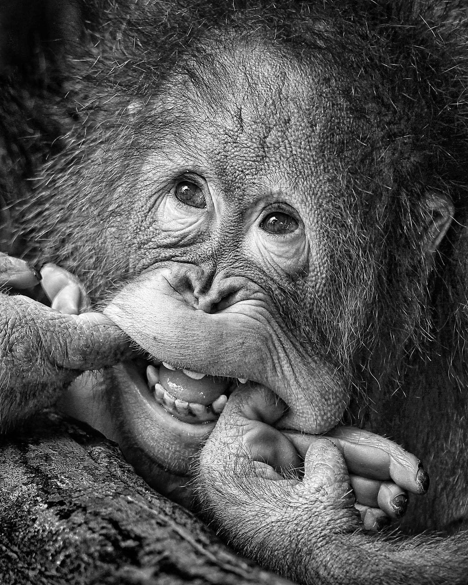 Big Smile.....Please by Angela Muliani Hartojo Framed Print - USTAD HOME