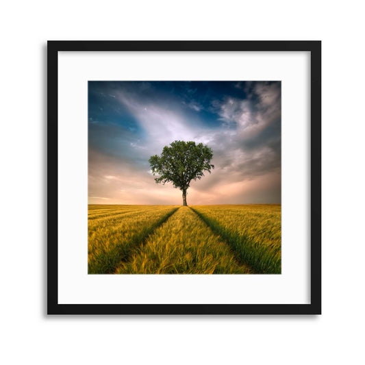 One by Piotr Krol Framed Print - USTAD HOME