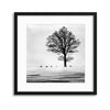 Roes by Dansiga Framed Print - USTAD HOME