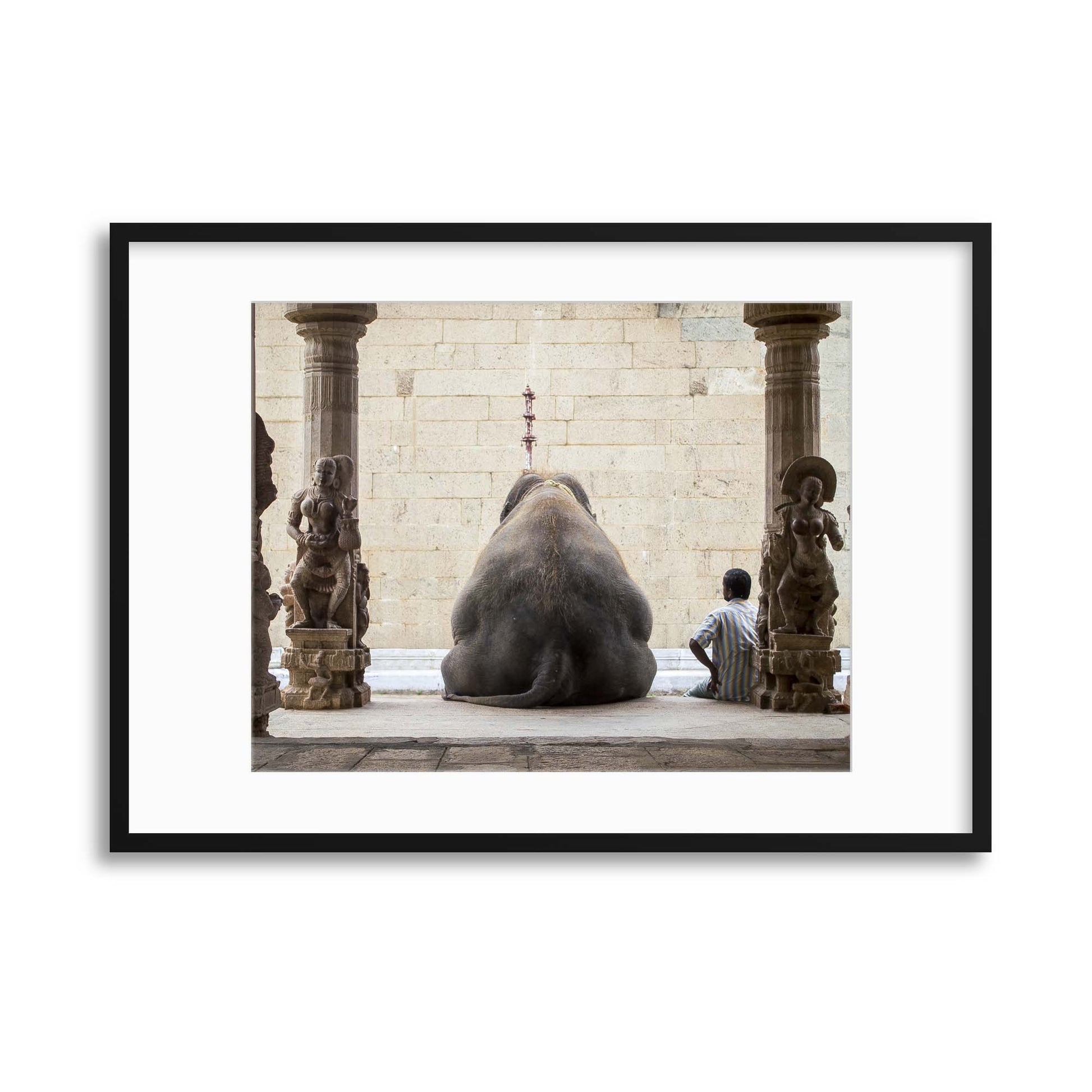 The Elephant and its Mahot by Ruhan Framed Print - USTAD HOME