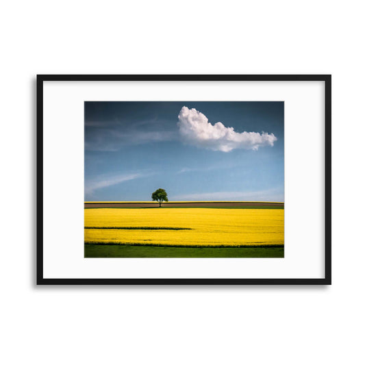 The Tree and the Cloud by Andreas Wonisch Framed Print - USTAD HOME