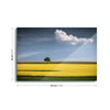 The Tree and the Cloud by Andreas Wonisch Glass Print - USTAD HOME
