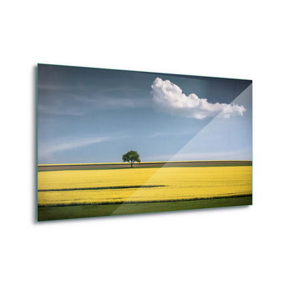 The Tree and the Cloud by Andreas Wonisch Glass Print - USTAD HOME