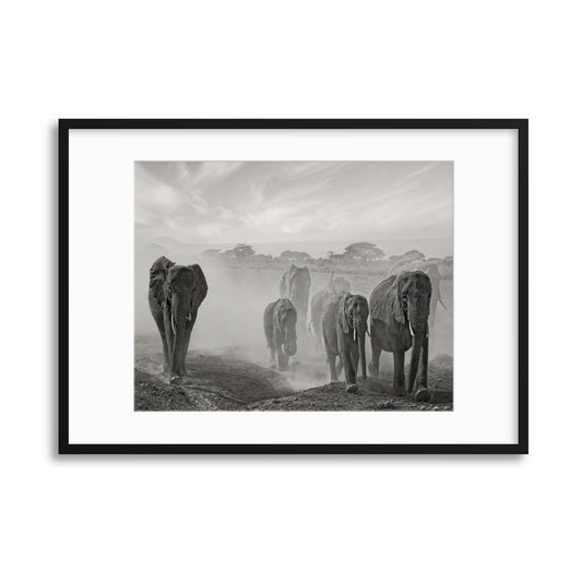 Sequence of Emotion by Mathilde Guillemot Framed Print - USTAD HOME