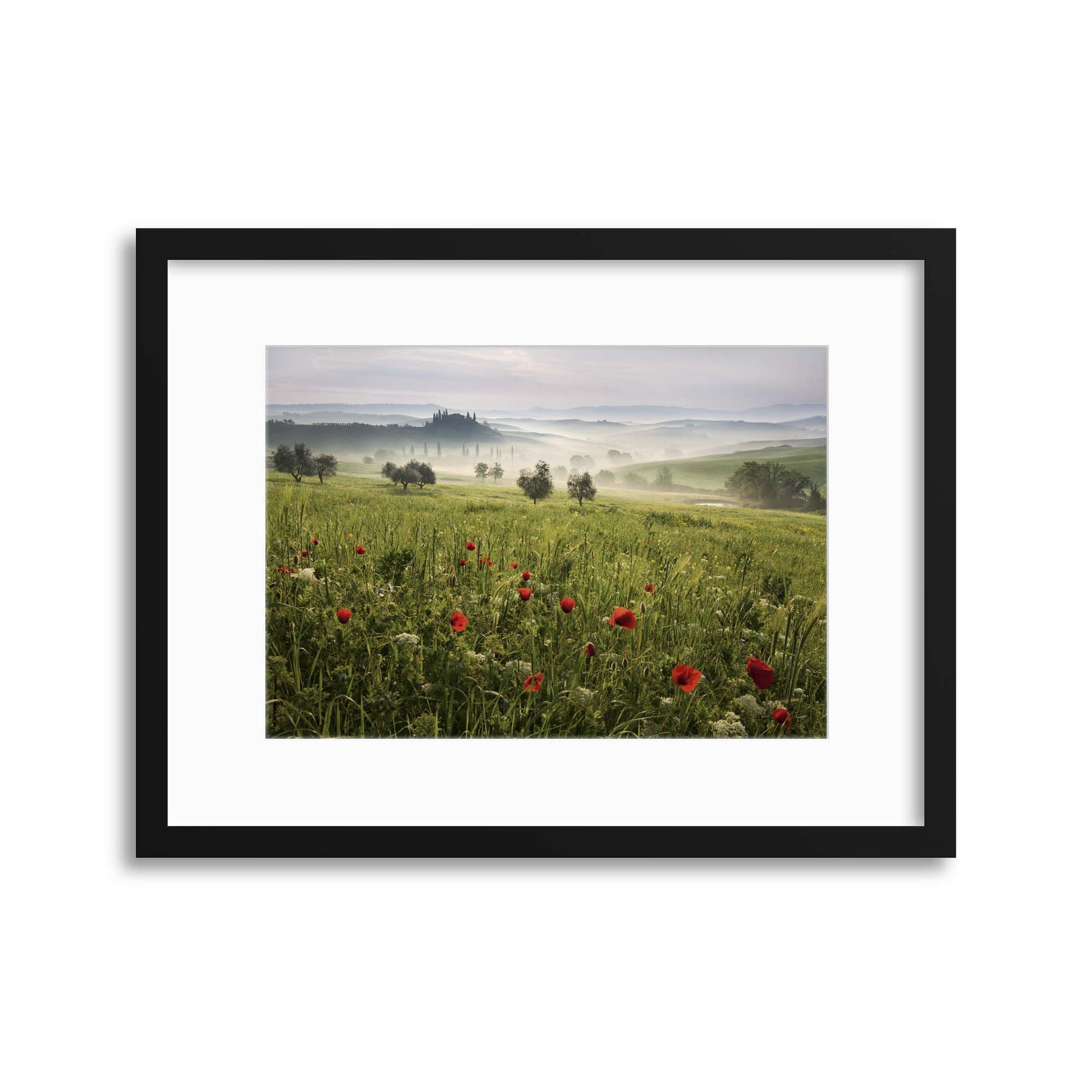 Tuscan Spring by Daniel &#344;e&#345;icha Framed Print - USTAD HOME