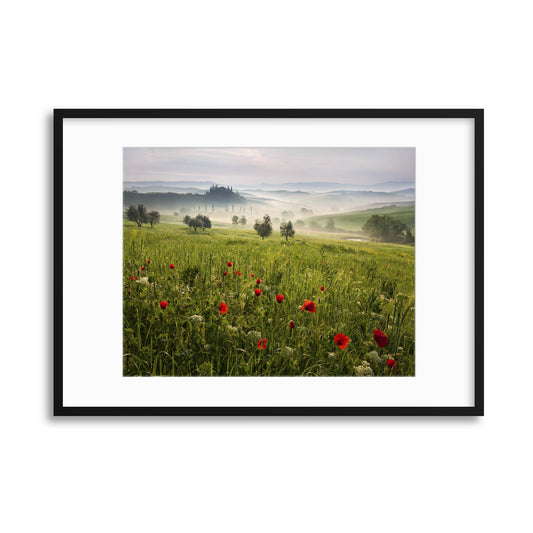 Tuscan Spring by Daniel &#344;e&#345;icha Framed Print - USTAD HOME