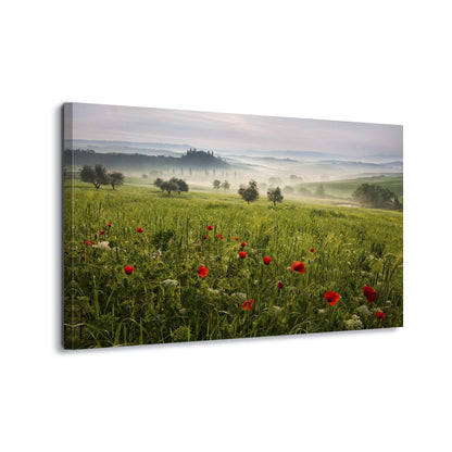 Tuscan Spring by Daniel &#344;e&#345;icha Canvas Print - USTAD HOME