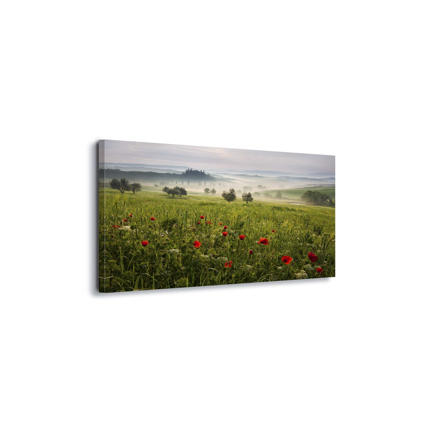 Tuscan Spring by Daniel &#344;e&#345;icha Canvas Print - USTAD HOME