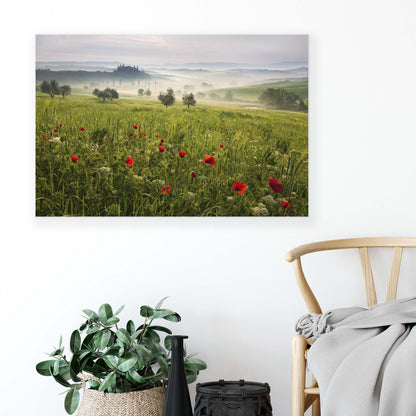 Tuscan Spring by Daniel &#344;e&#345;icha Canvas Print - USTAD HOME