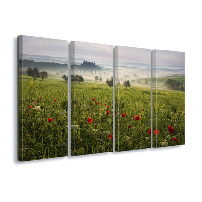 Tuscan Spring by Daniel &#344;e&#345;icha Canvas Print - USTAD HOME