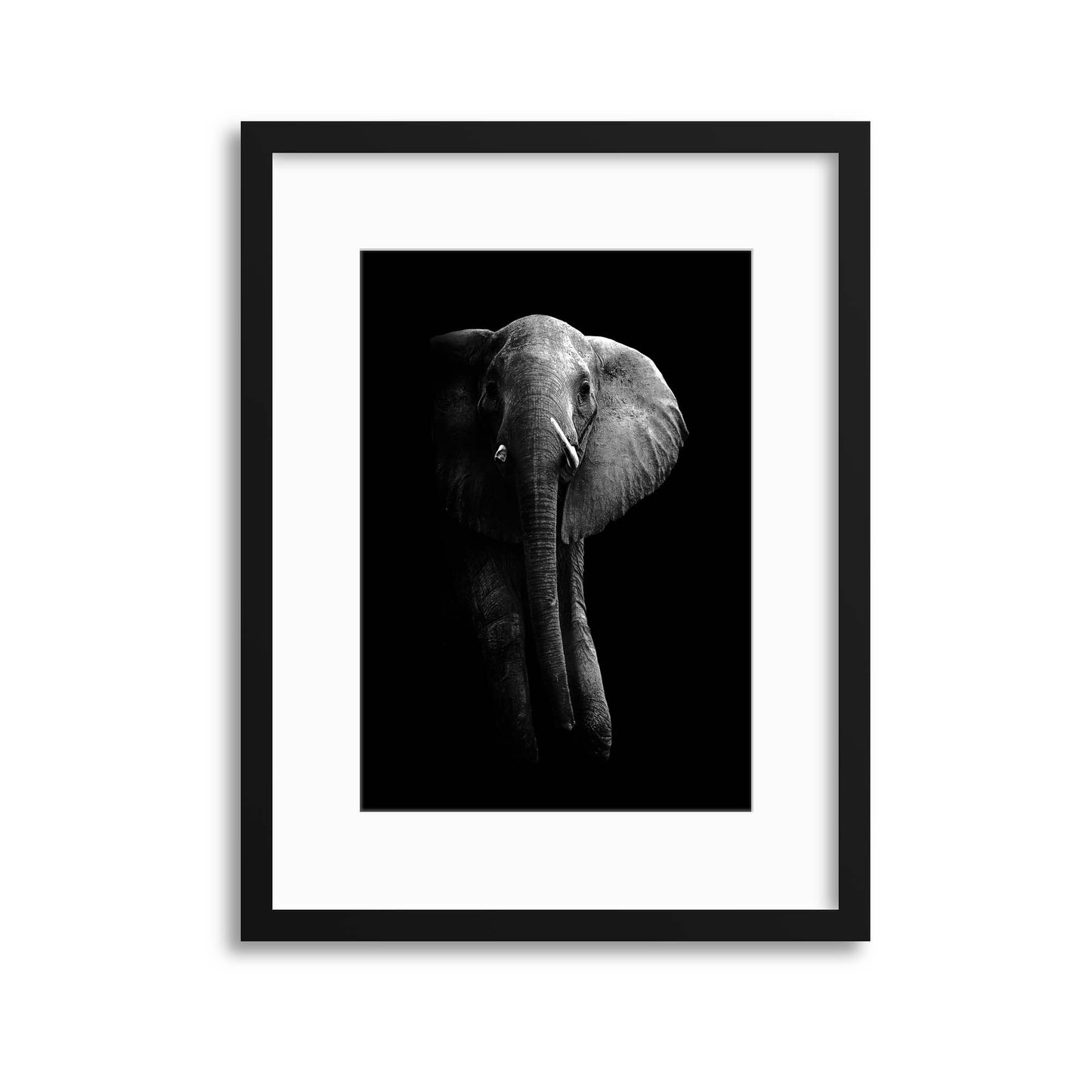 Elephant! by WildPhotoArt Framed Print - USTAD HOME