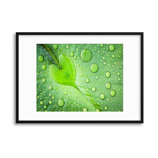 Heart by Patrick Foto Framed Print - USTAD HOME