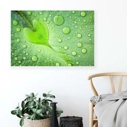 Heart by Patrick Foto Canvas Print - USTAD HOME