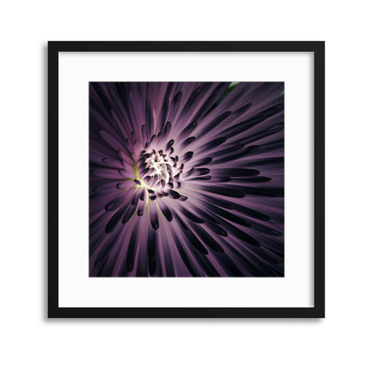 Light Within by Leah Kennedy Framed Print - USTAD HOME