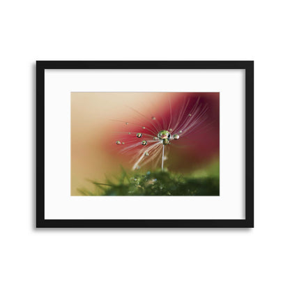 Red Morning by Heidi Westum Framed Print - USTAD HOME