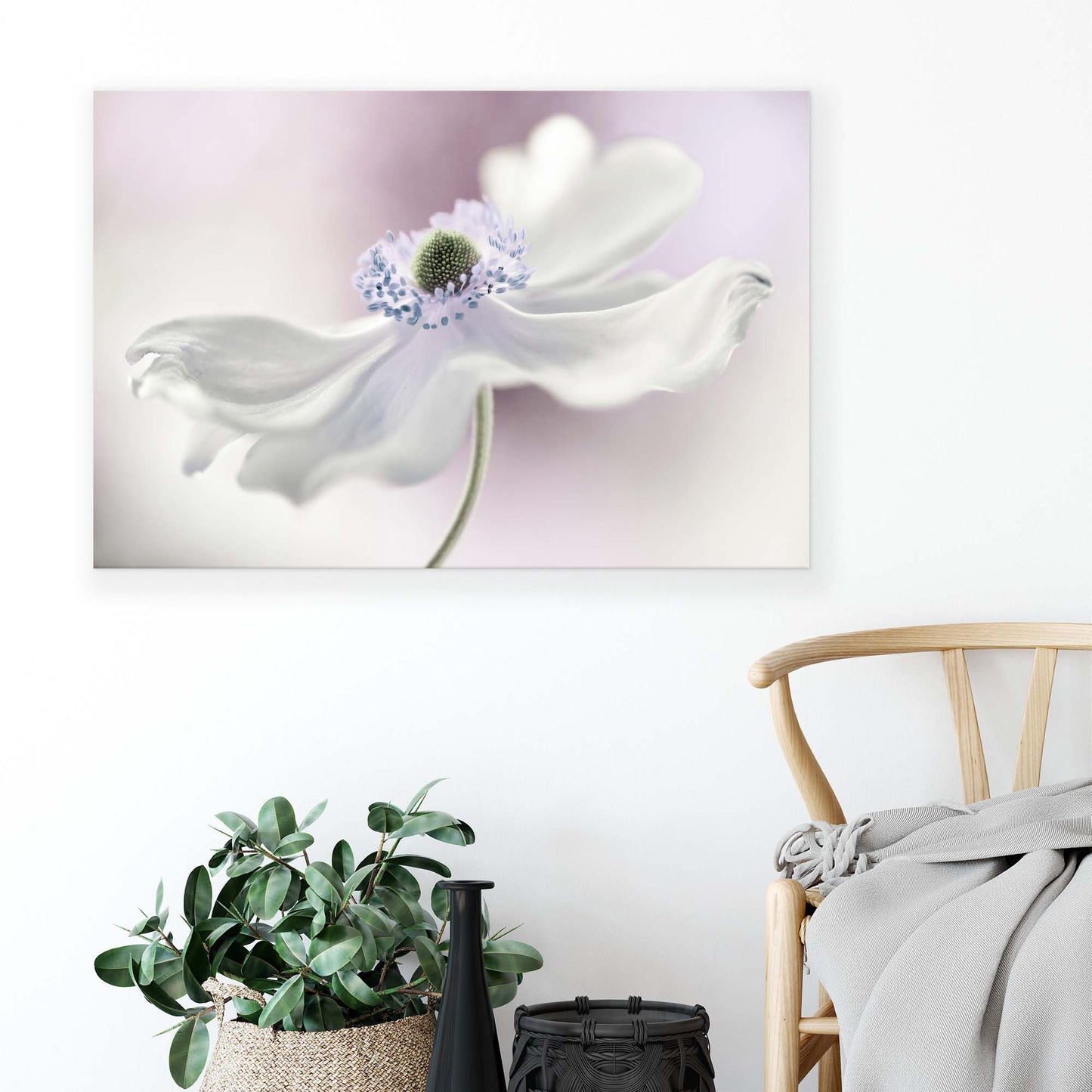 Anemone Breeze by Mandy Disher Canvas Print - USTAD HOME