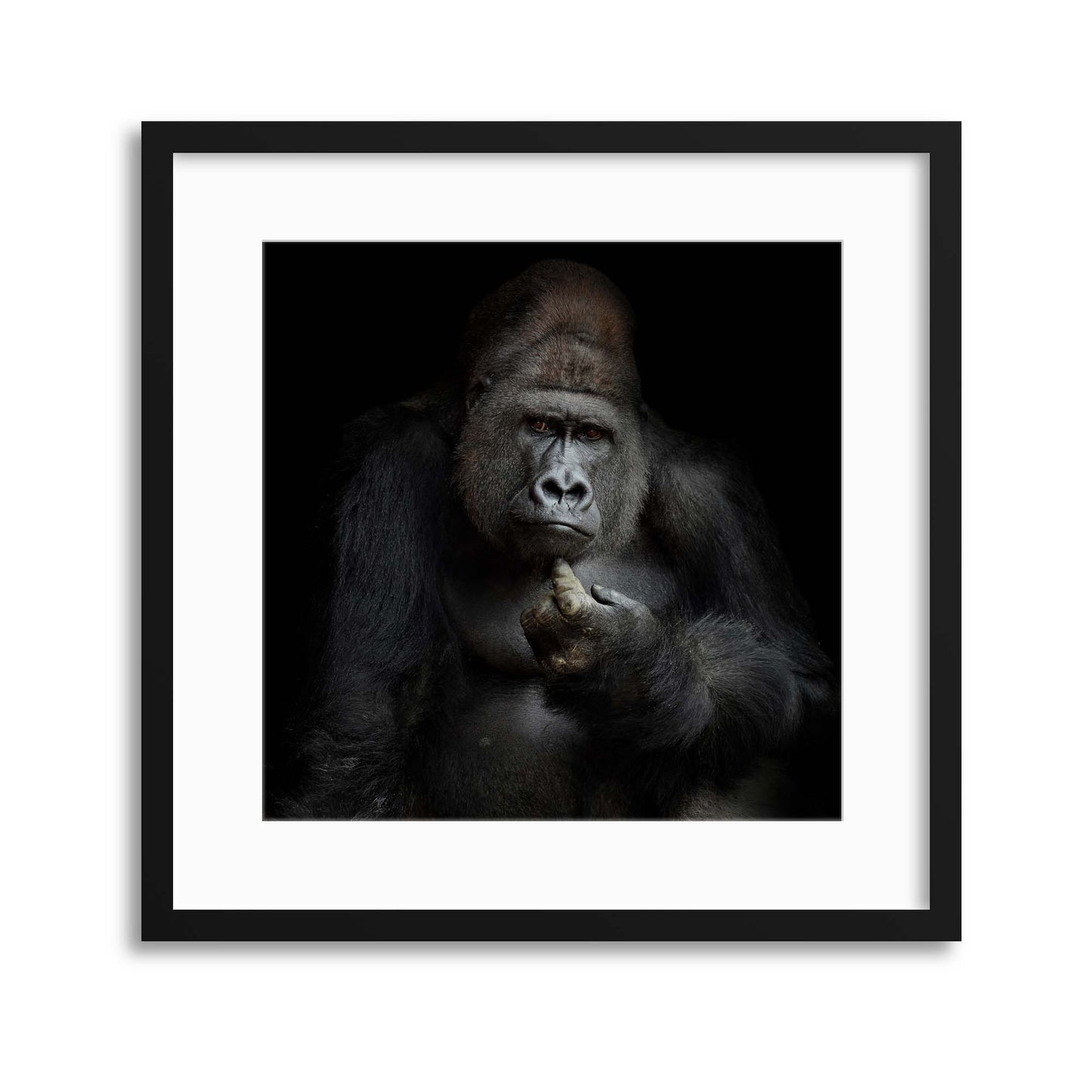 IMHO by Antje Wenner-Braun Framed Print - USTAD HOME