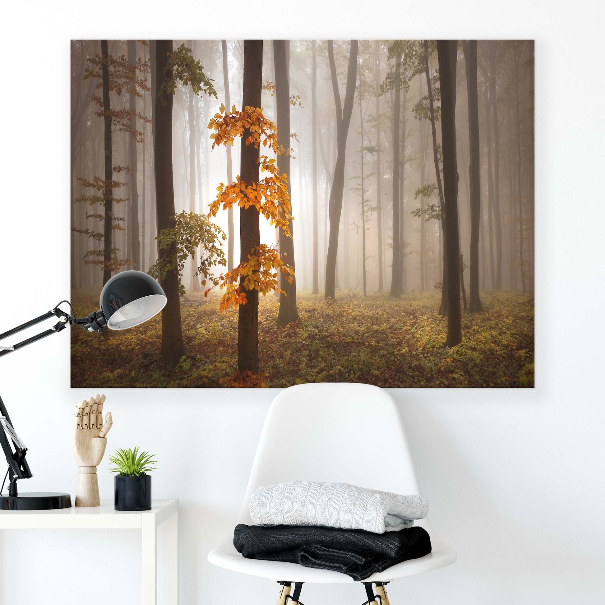 In November Light by Nicolas Schumacher Canvas Print - USTAD HOME