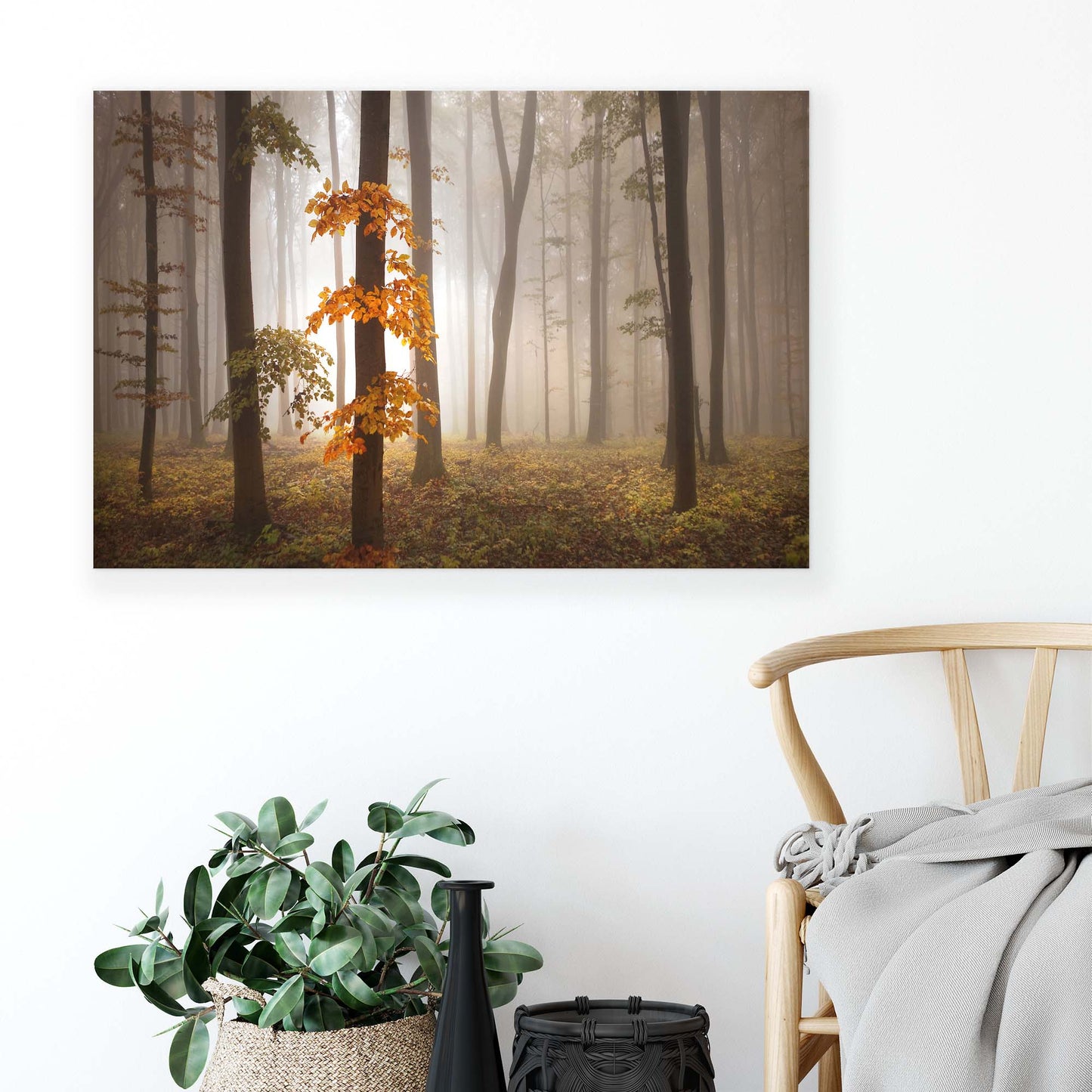 In November Light by Nicolas Schumacher Canvas Print - USTAD HOME