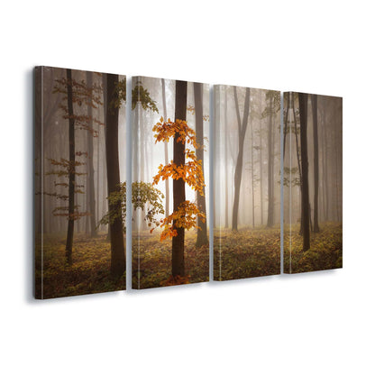 In November Light by Nicolas Schumacher Canvas Print - USTAD HOME